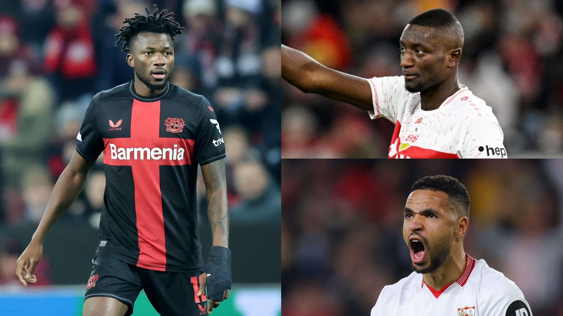 无论是在绿 无论是在绿