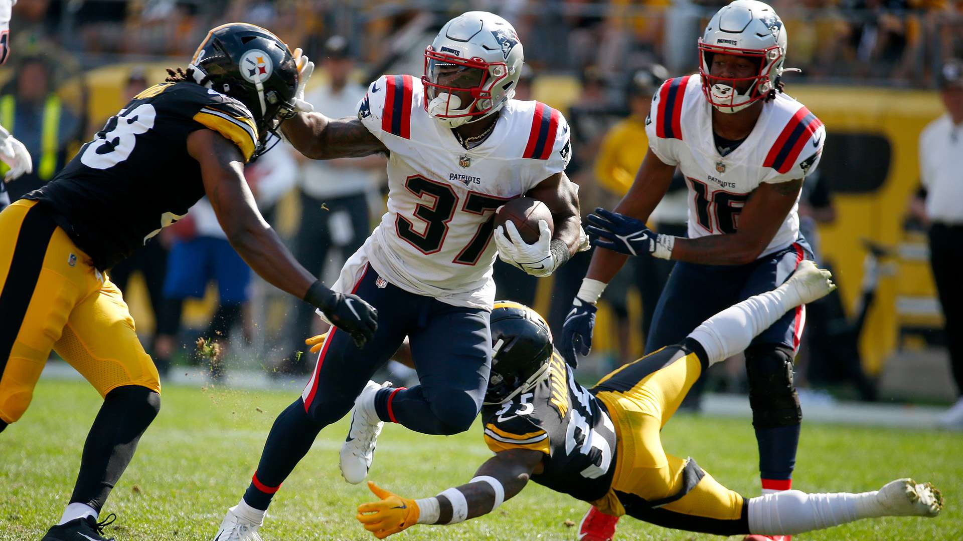 坚定不出售 坚定不出售