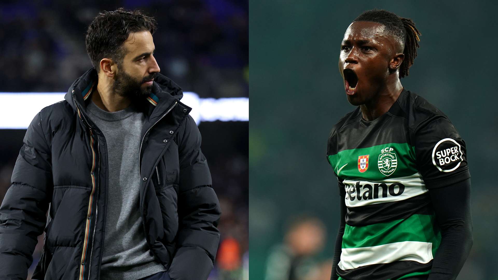 球界提供了 球界提供了